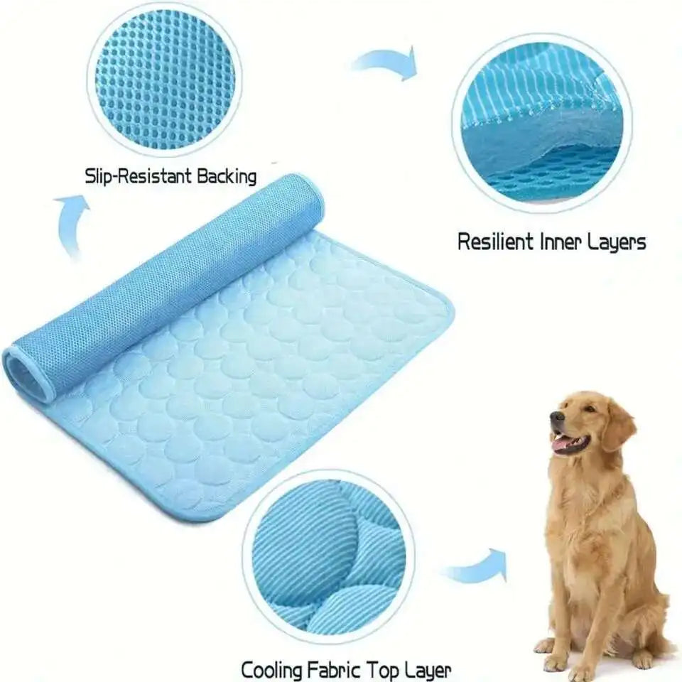 tapis ana