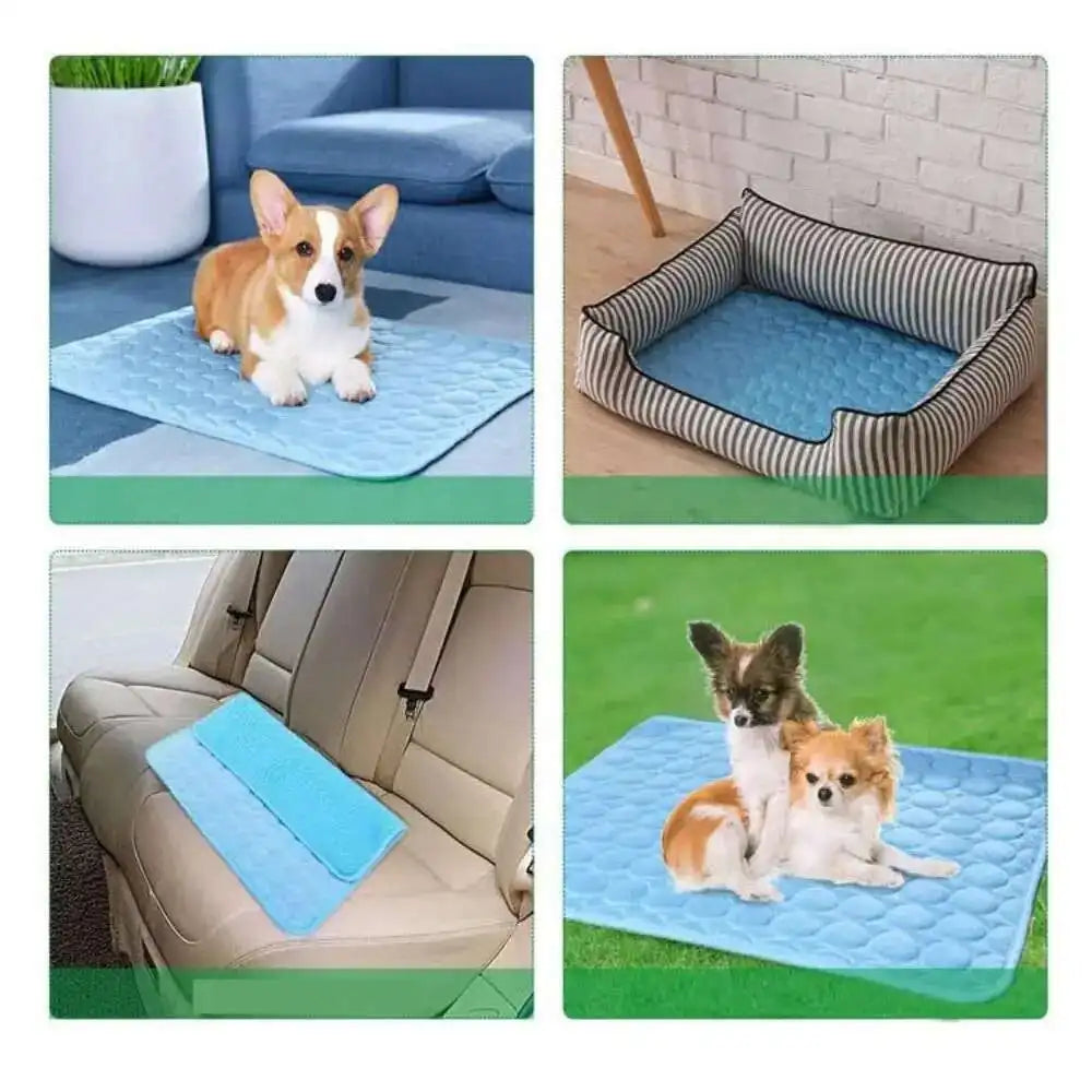tapis ana