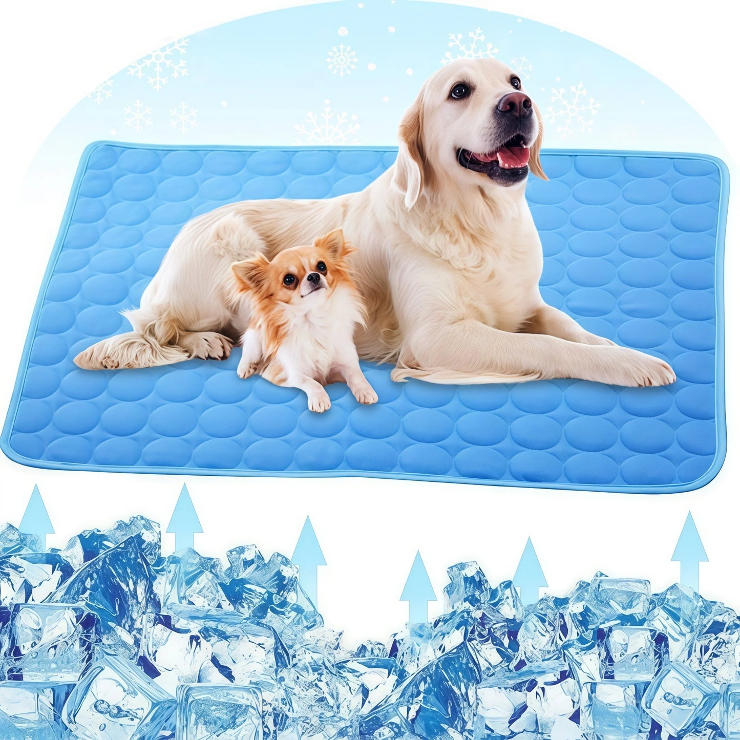 tapis ana